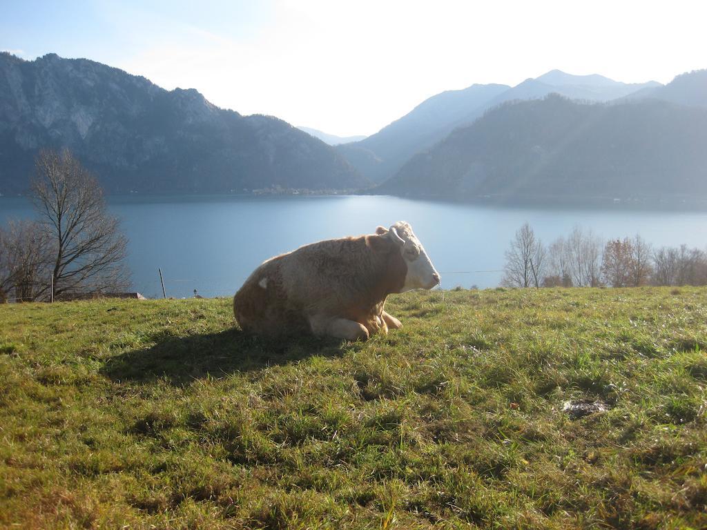 Exklusiv Apartment Scheichl Unterach am Attersee Exteriör bild